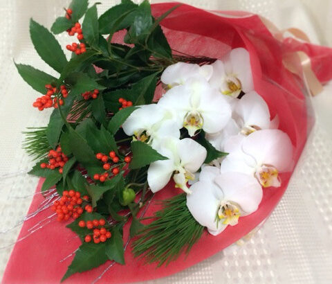 「幸せ」を引き寄せ♪お正月用 胡蝶蘭の花束セット