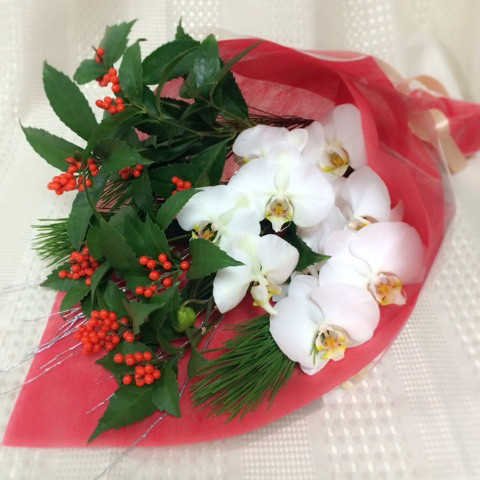 「幸せ」を引き寄せ♪お正月用 胡蝶蘭の花束セット