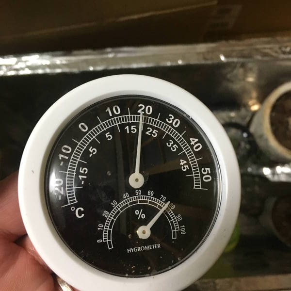 防寒対策の簡易温室 温度計