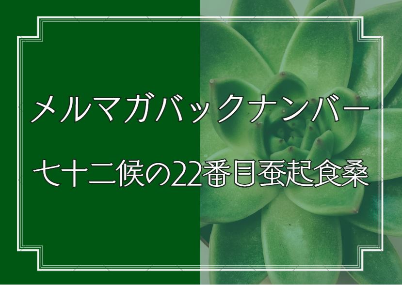 メルマガバックナンバー用22番目