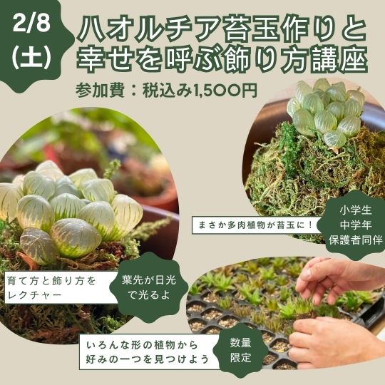 2月8日ごほうびマルシェ　もじゃさん出店内容