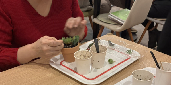 20251105 三鷹まちゼミ 多肉寄せ植えワークショップ 02