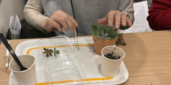 20251105 三鷹まちゼミ 多肉寄せ植えワークショップ 01