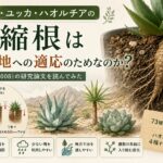 アガベ・ユッカ・ハオルチアの収縮根は乾燥地への適応のためなのか？Northら（2008）の研究論文を読んでみた