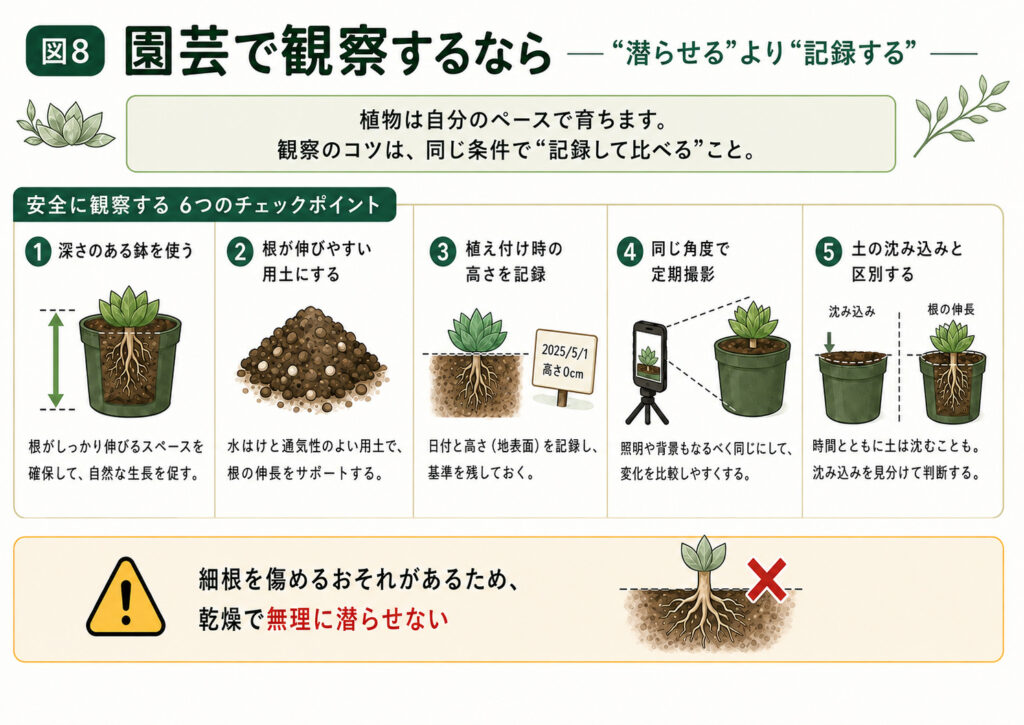図説 お家で潜るのを観察するなら