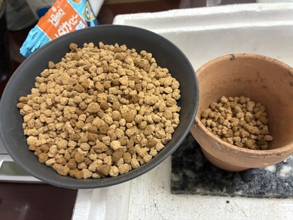 2日目の素焼き鉢Aで底から約1cmまで赤玉土が湿った状態