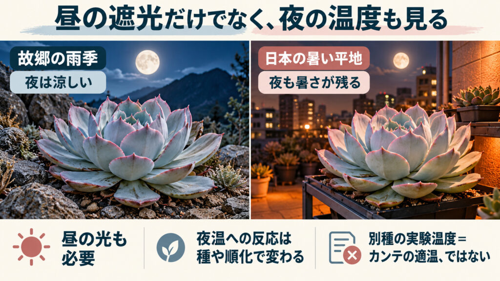 故郷の涼しい雨季の夜と日本の暑い平地の夜を対比し、昼の光と夜温の両方を見る図