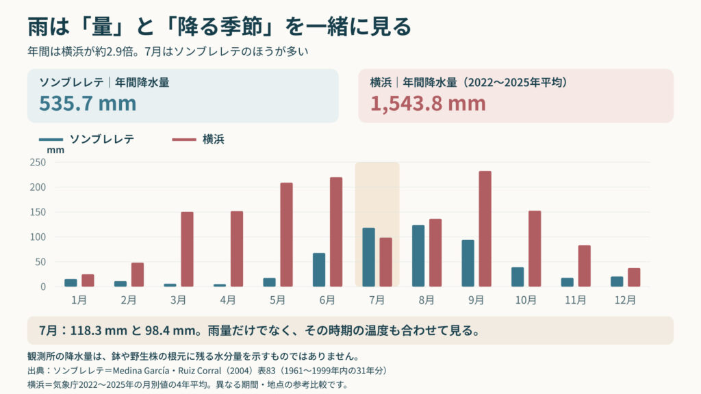 月別降水量の比較。年間はソンブレレテ535.7mm、横浜1543.8mmだが、7月はソンブレレテのほうが多い